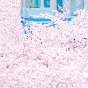 台湾奶白小受被c哭片
